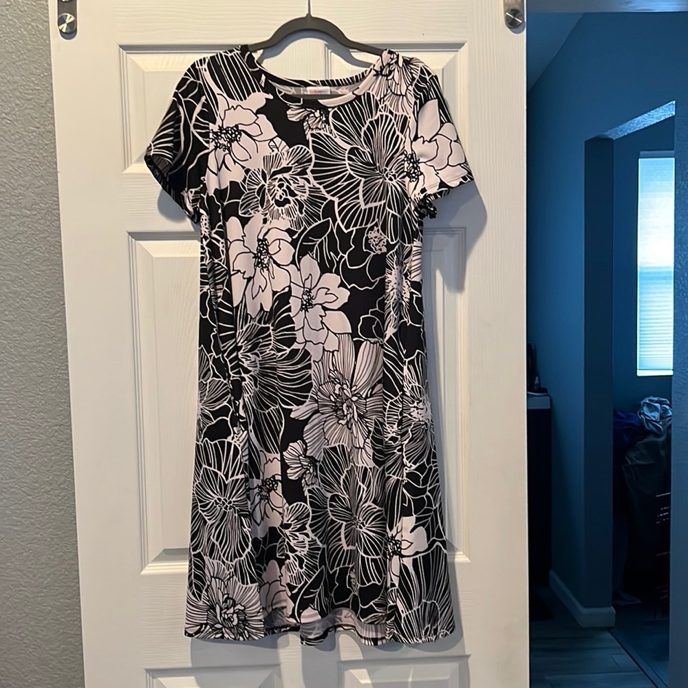 LuLaRoe Carly Dress with Pockets!